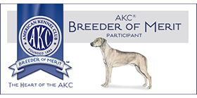 A dog is standing in front of the akc logo.