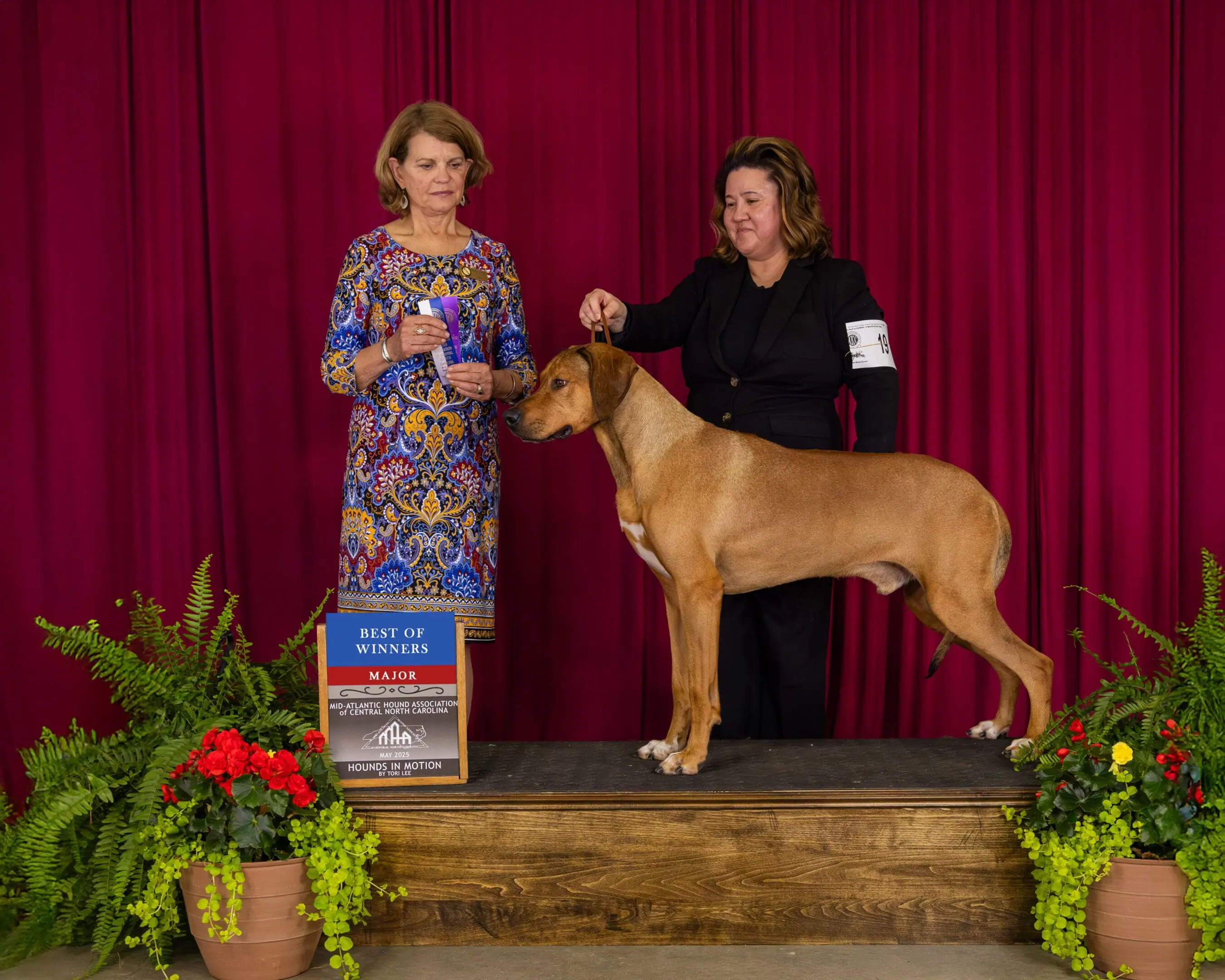 Two Women Showing A Dog With Stance